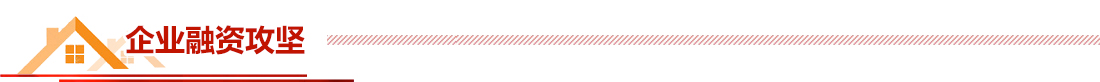 企業(yè)融資